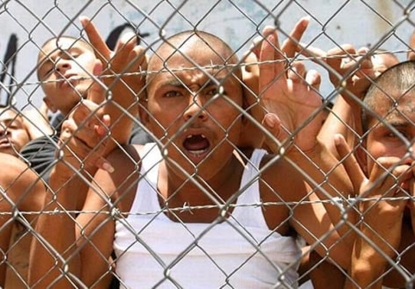 10 Immigration-Related Atrocities in the U.S.