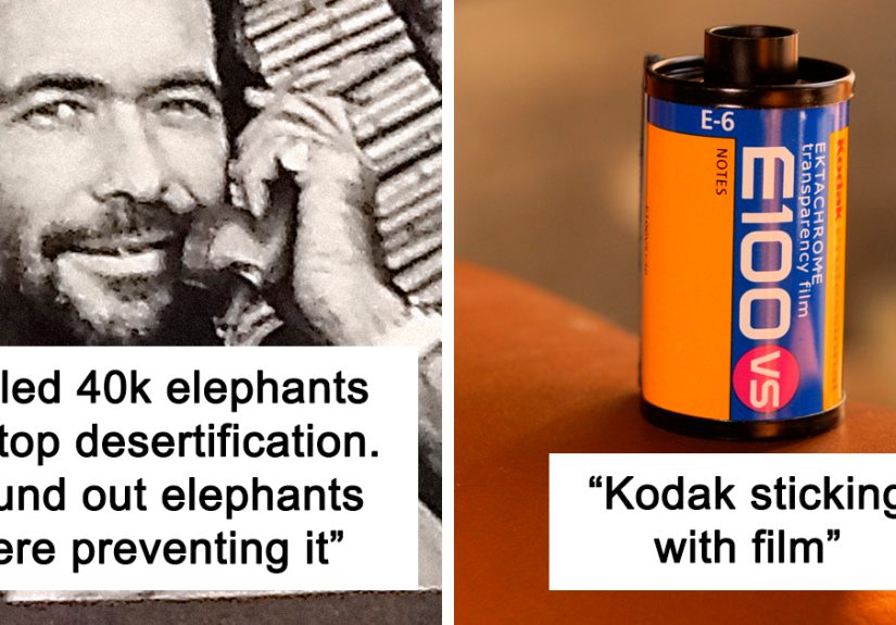 40 People Respond To ‘Which Is The Worst Single Decision In History Ever Made By A Person?’