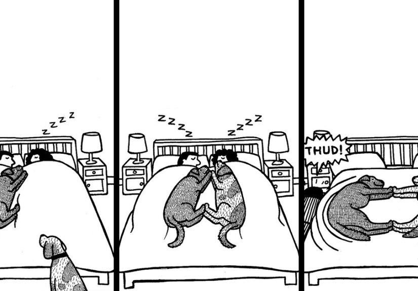 45 Relatable Comics About The Reality Of Owning A Dog From The Series “Off The Leash”