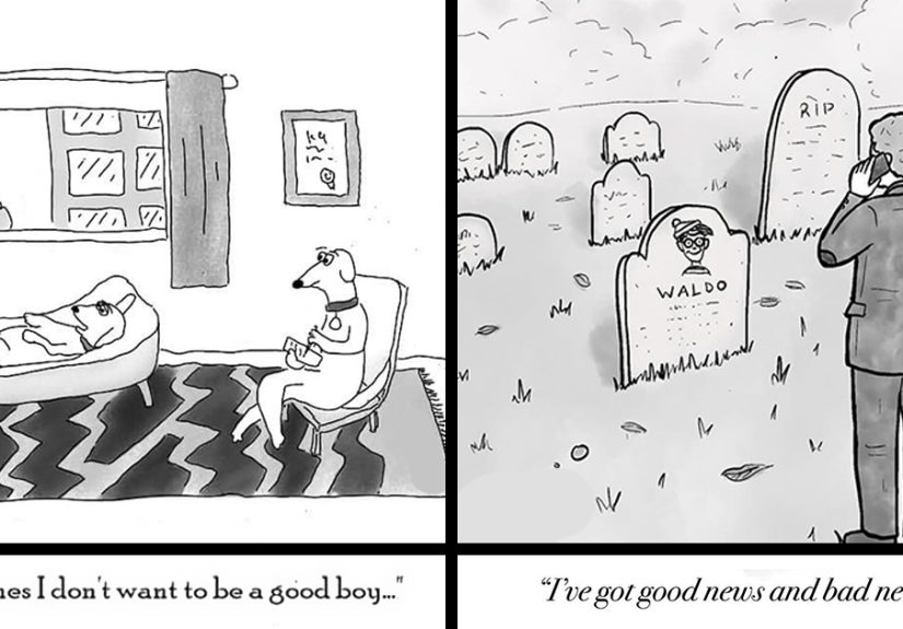 50 Entertaining One-Panel Comics Based On Artist’s Observations