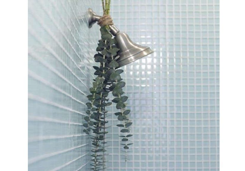 A Simple Trick to Turn Your Shower into a Spa