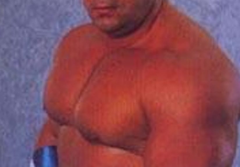 Dino Bravo Rankings And Opinions