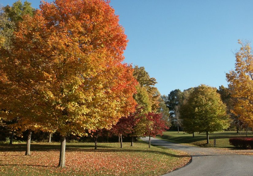 Here's Why We're Primed for a “Fake Fall” This Yearand What’s Really Going On