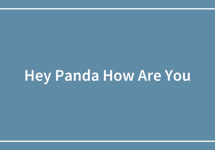 Hey Panda How Are You