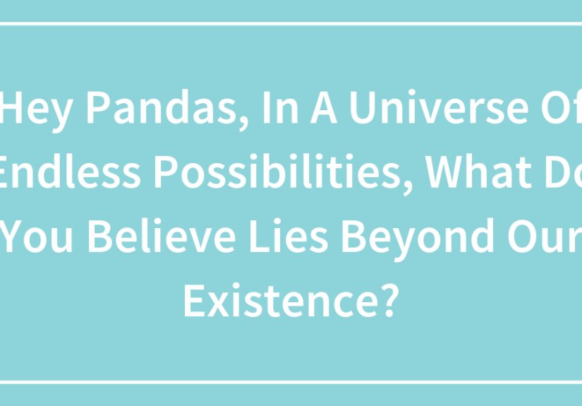 Hey Pandas, In A Universe Of Endless Possibilities, What Do You Believe Lies Beyond Our Existence?