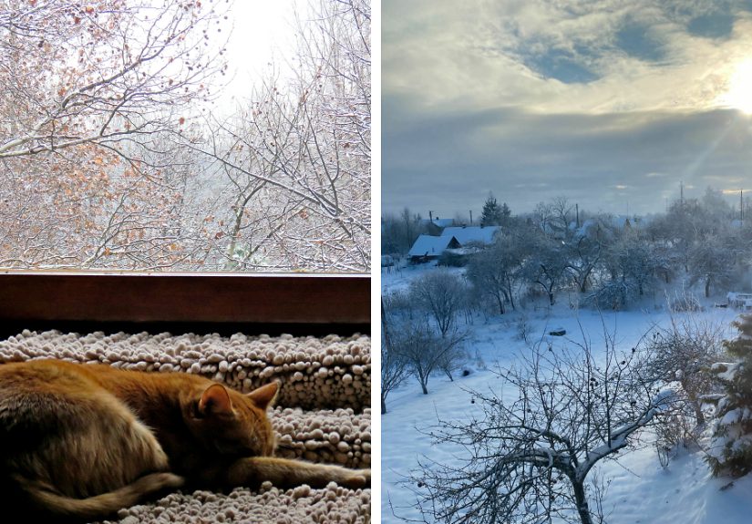 Hey Pandas, Share Your Best Photos Of Wintertime (Closed)