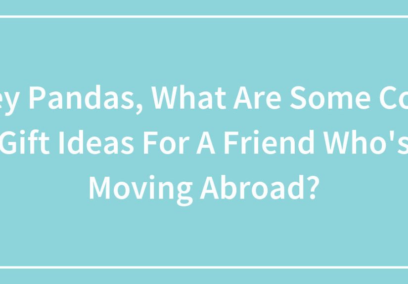 Hey Pandas, What Are Cool Gift Ideas For A Friend Who’s Moving Abroad?