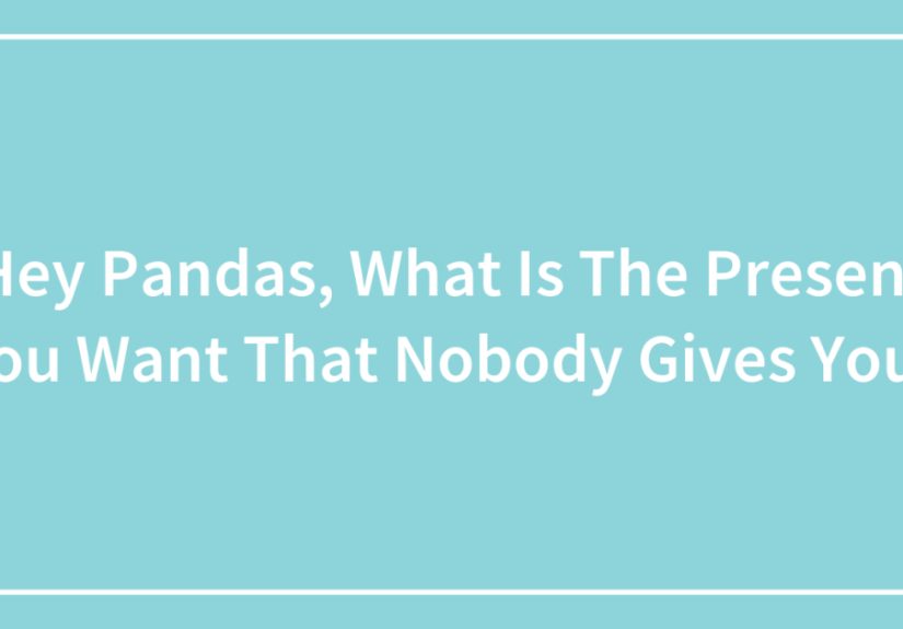 Hey Pandas, What Is The Present You Want That Nobody Gives You? (Closed)