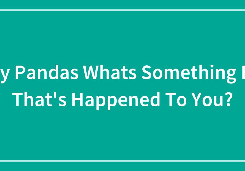 Hey Pandas Whats Something Big That’s Happened To You?