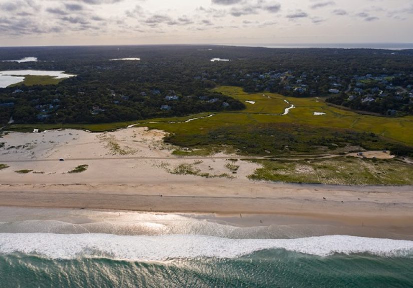 How Coastal Habitats Can Reduce Flood Losses and Create More Resilient Communities - IA Magazine