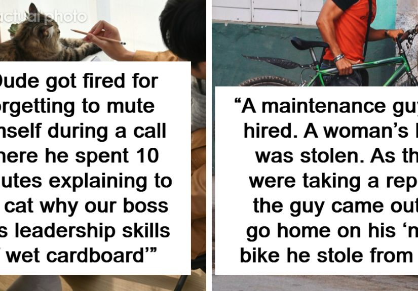 “How Dumb Can You Be?”: 45 Times People Got Fired And Had No One But Their Stupid Selves To Blame