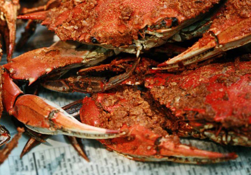 How to Pick and Eat Meat from a Crab