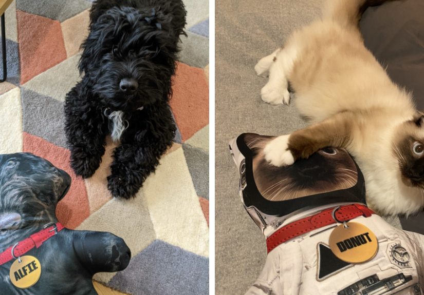 I Make Personalized Dolls Of Your Pets And The Results Are Totally Adorable