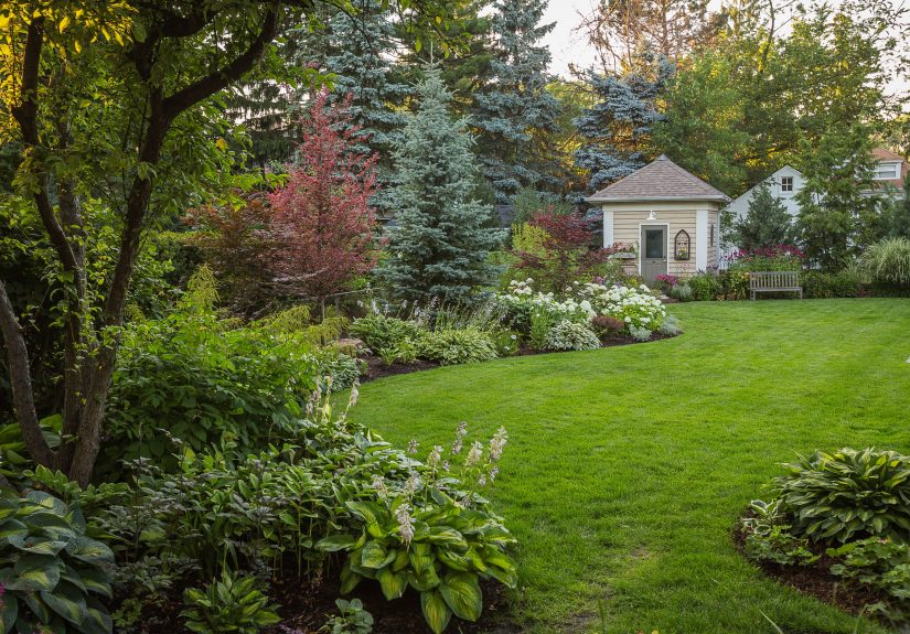 Is Epsom Salt Good for Your Lawn?