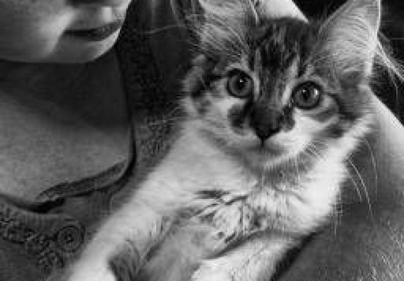 Living with pets linked to stronger social skills in children with autism