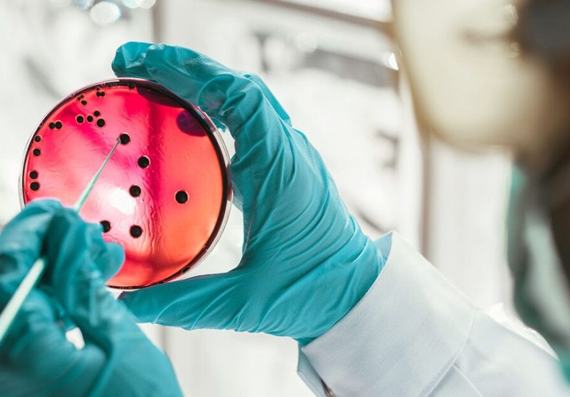 Stem Cells for Crohn’s Disease: How Close Are We to a Cure?