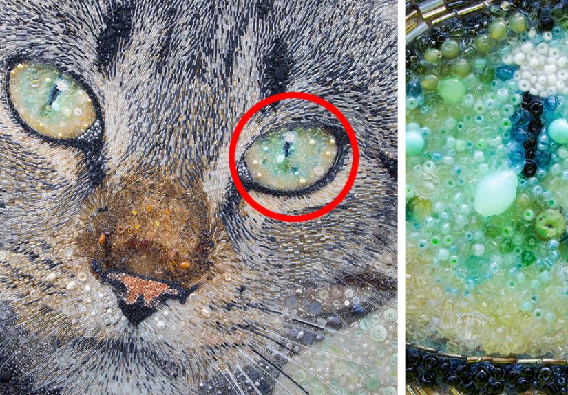 These Animal Portraits Are Not What They Look Like