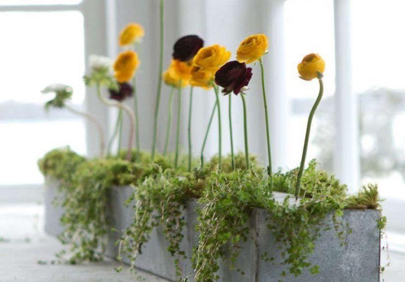 Trending on Gardenista: The Art of Curb Appeal (for Under $100)