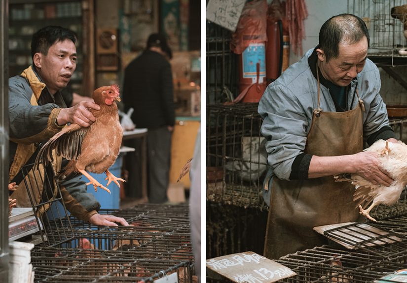 21 Photos I Took To Show The Authentic Side Of A Farmers’ Market In China