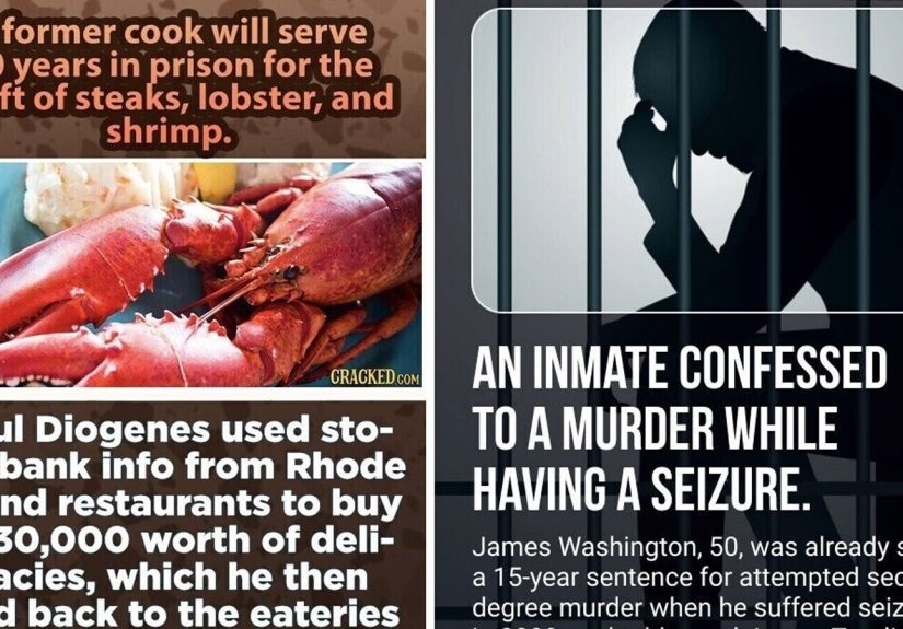 31 Facts About Crime and Law to Yell in Court to Prove Your Innocence