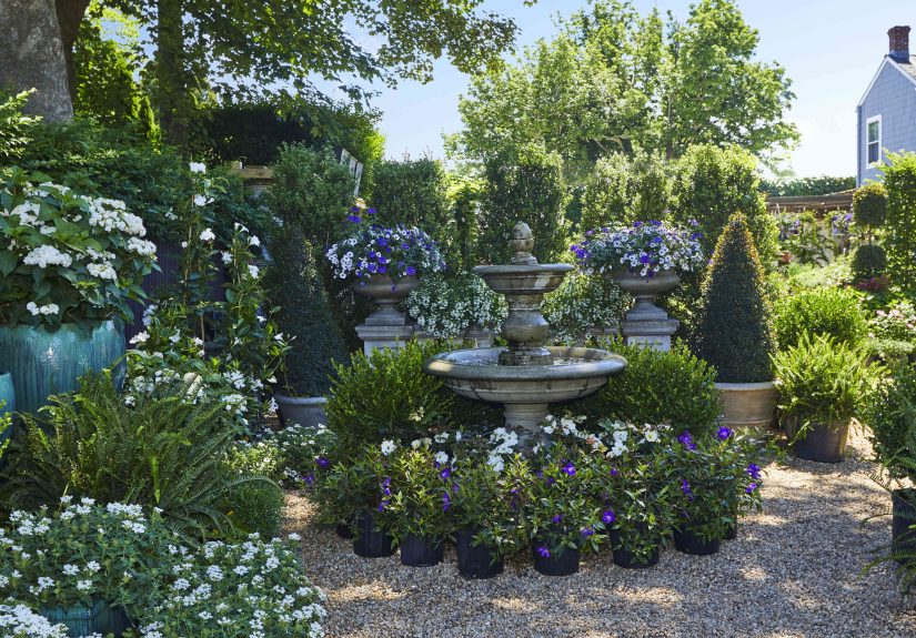 6 Common Gardening Mistakes You Need to Stop Making, Pros Say
