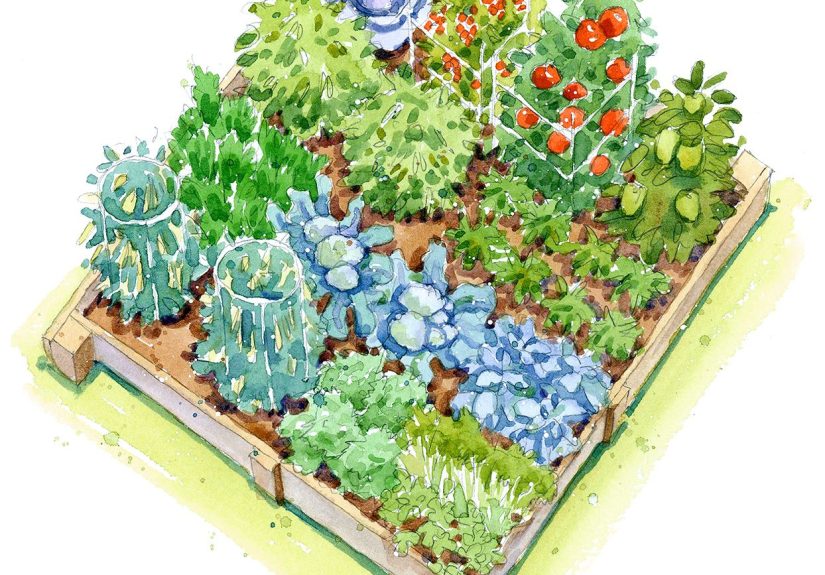 6 Vegetable Garden Plans for Growing Your Own Food