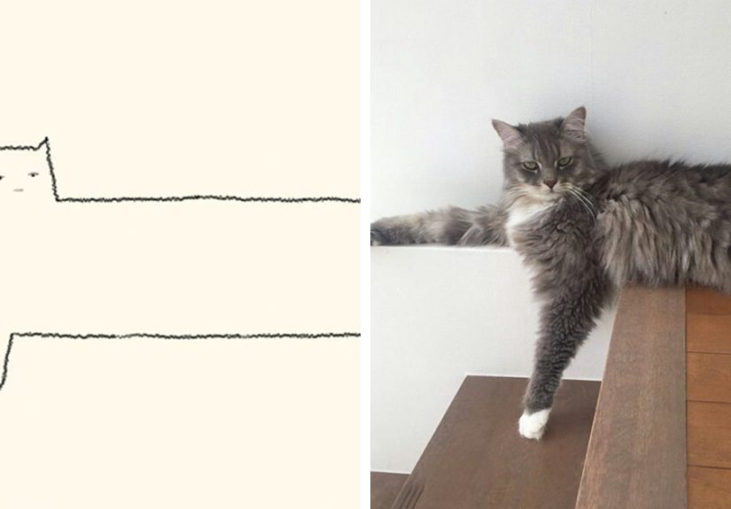 85 Times ‘Stupid Cat Drawings’ Made Everyone Laugh With How Accurate They Were