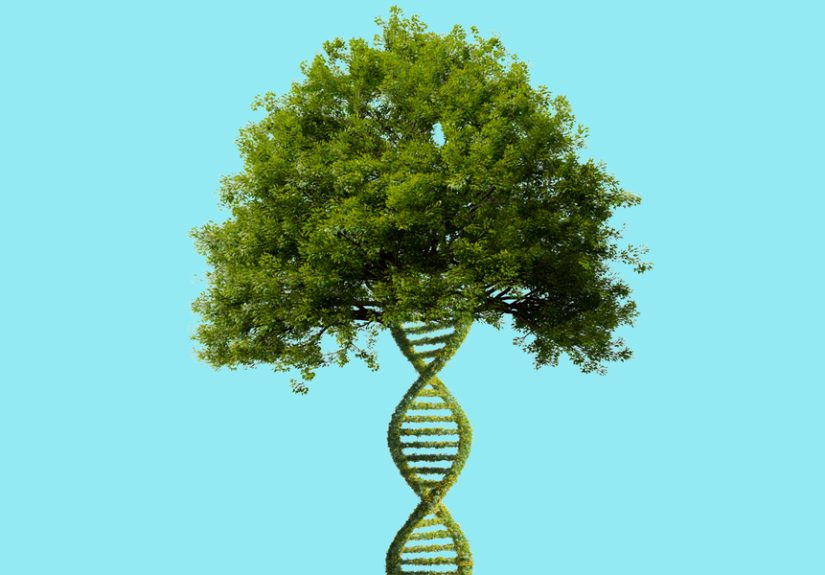 A DNA Test Revealed a Shocking Secret About My Family