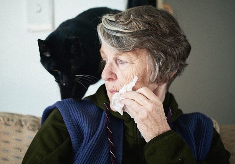Animal allergy: Causes, symptoms, treatment, and more