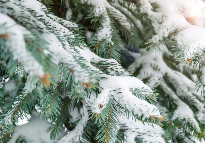Can I Spray Snow On a Pre-Lit Christmas Tree?