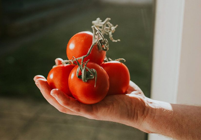 Do Tomatoes Make Gout Worse?