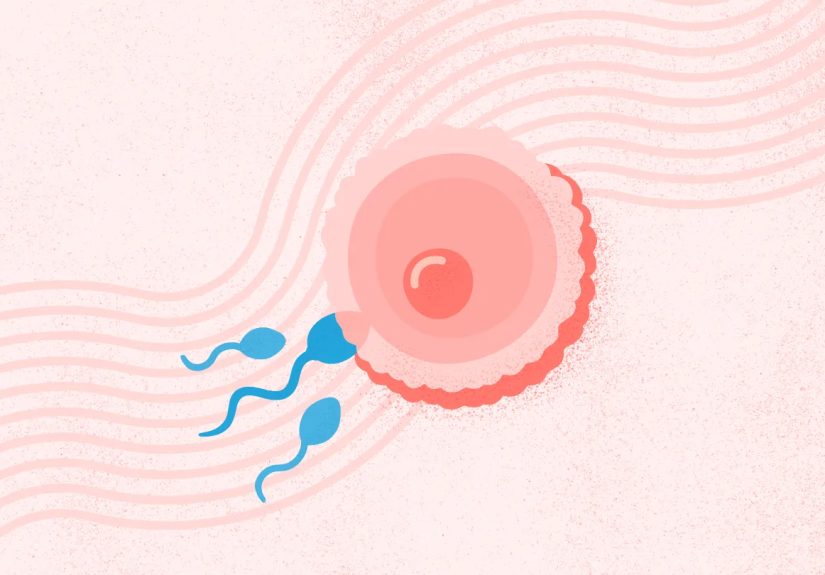 Fertility and Getting Pregnant: What You Need to Know