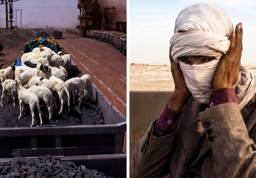 Freight Train Hopping In Mauritania: 4000 Kilometers In A Cargo Carriage With Local Shepherds And Their Sheep
