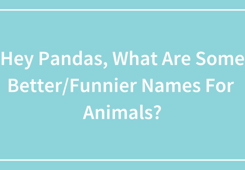 Hey Pandas, What Are Some Better/Funnier Names For Animals?