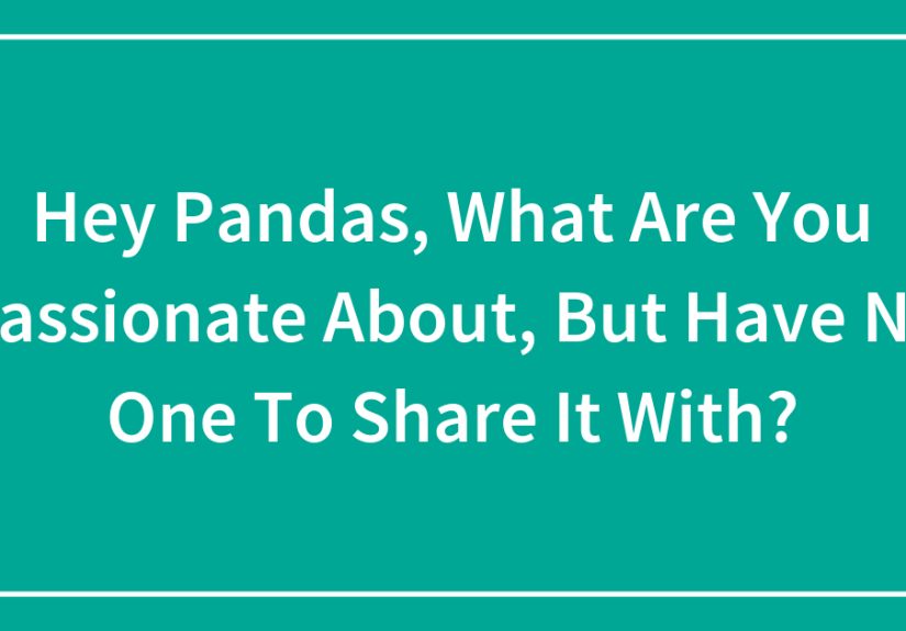 Hey Pandas, What Are You Passionate About, But Have No One To Share It With? (Closed)