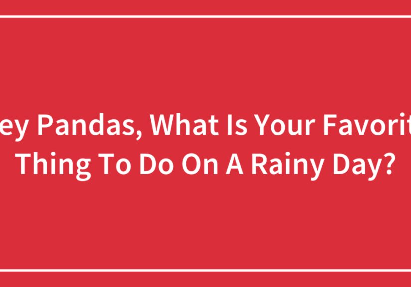 Hey Pandas, What Is Your Favorite Thing To Do On A Rainy Day?