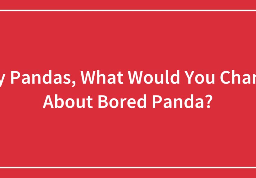 Hey Pandas, What Would You Change About ? (Closed)