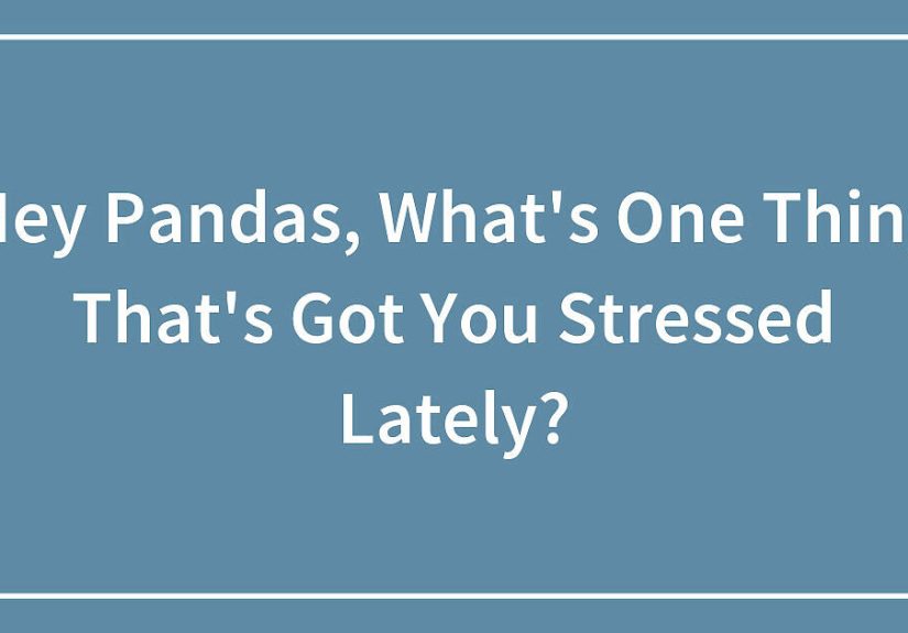 Hey Pandas, What’s One Thing That’s Got You Stressed Lately?