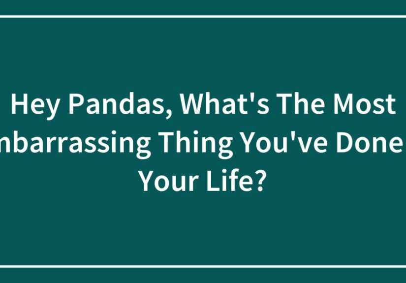 Hey Pandas, What’s The Most Embarrassing Thing You’ve Done In Your Life?