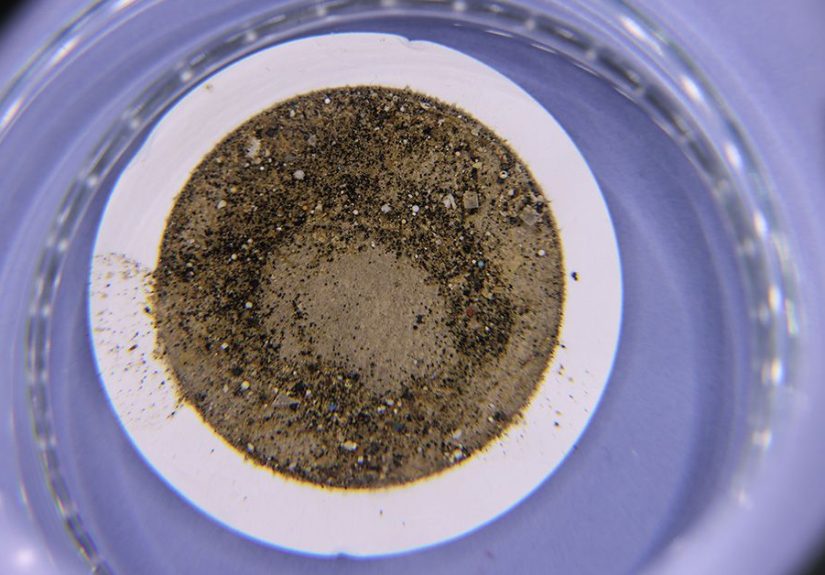 How do microplastics affect the gut?