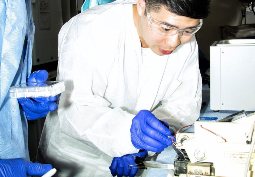 How Does the Brain Work - Incredible Scientists Who Are Solving the Brain