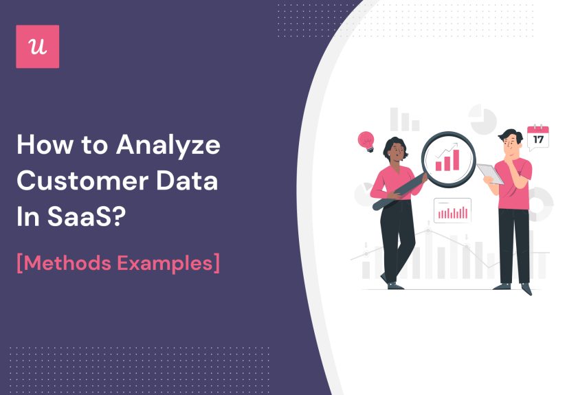 How to Analyze Customer Data In SaaS? [Methods & Examples]