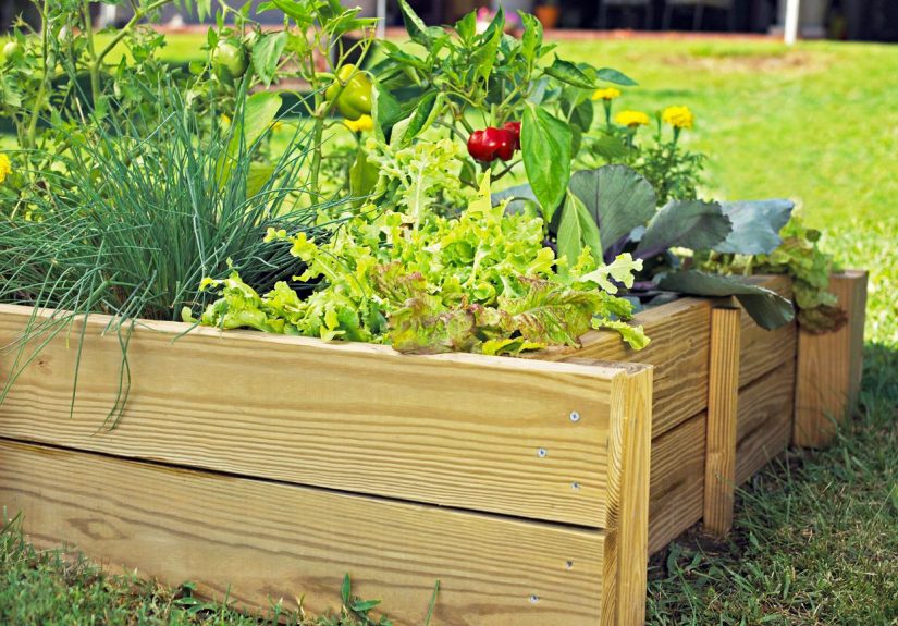 How to Build a Raised Garden Bed for Easier Veggie or Flower Planting