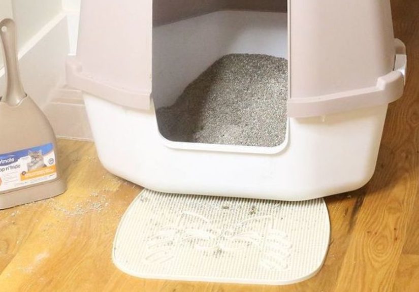 How to Hide Your Cat's Ugly Litter Box DIY