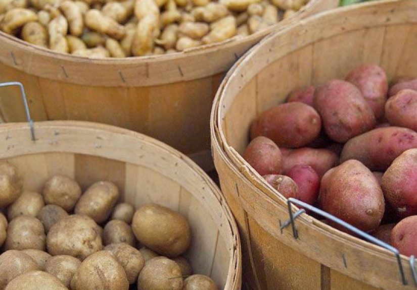 How to Plant Potatoes in Your Own Backyard