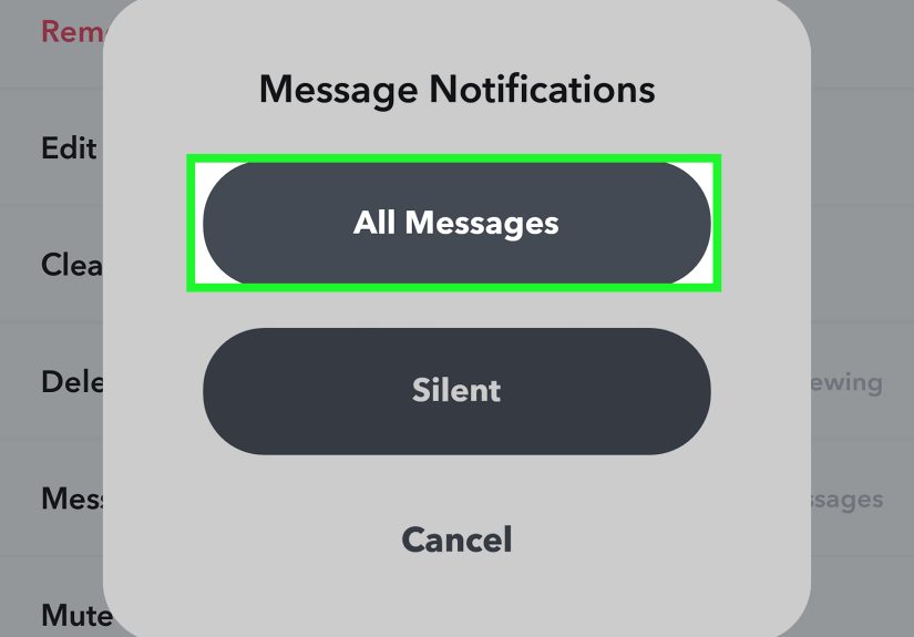 How to Turn On Snapchat Notifications on iPhone & Android