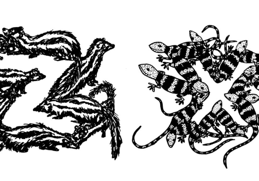 I Illustrated An Entire Alphabet Of Creatures (26 Pics)