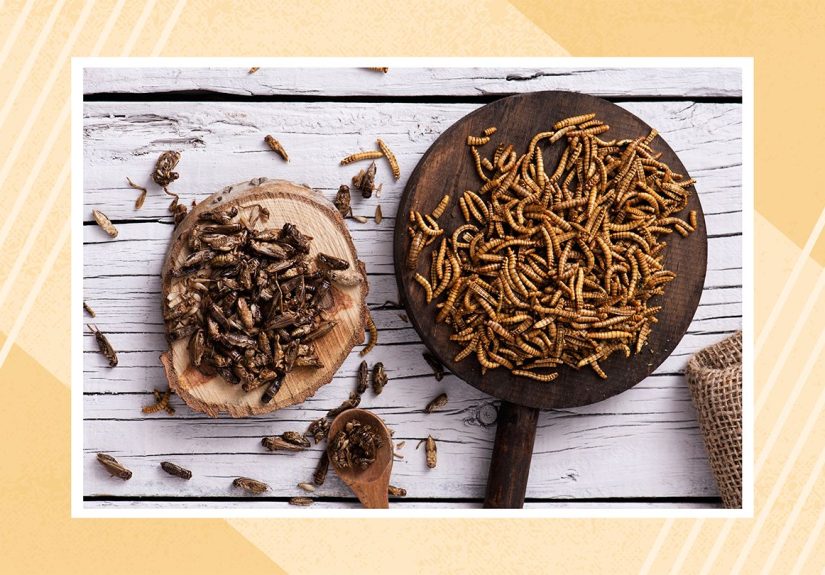 Is Eating Bugs Healthy?