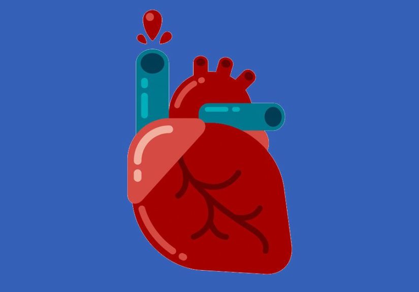 Pericardium: Function, Role in the Body, and Associated Conditions