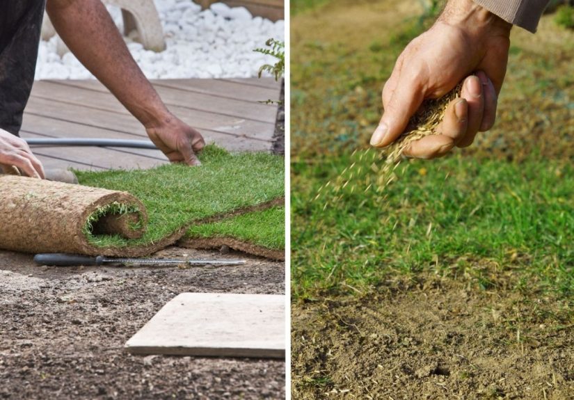Sod vs. Seed: What’s the Best Way to Get a Lush Lawn? - Bob Vila